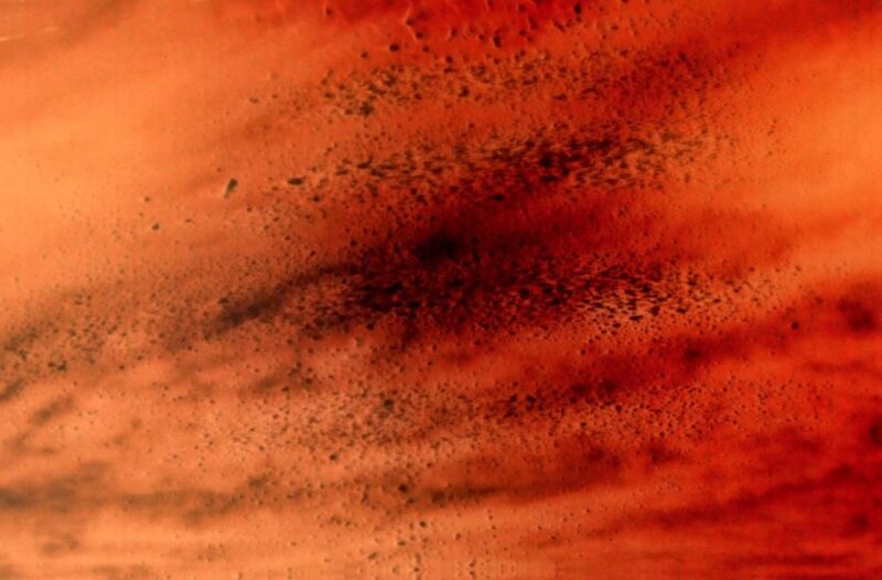 Frame Three PARADISO ARTIFICIALE