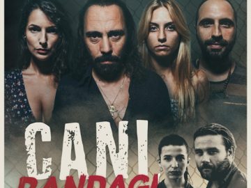 LOCANDINA CANI RANDAGI Jpeg