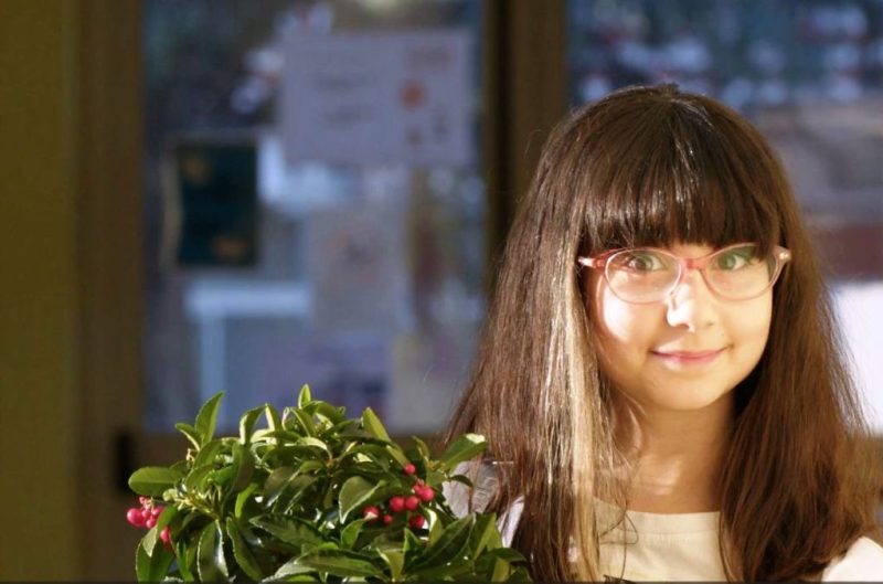 Amore A KM 0 Frame 02