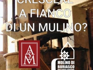 Locandina TI IMMAGINI CRESCERE A FIANCO DI UN MULINO Regia Di Anita Galfione