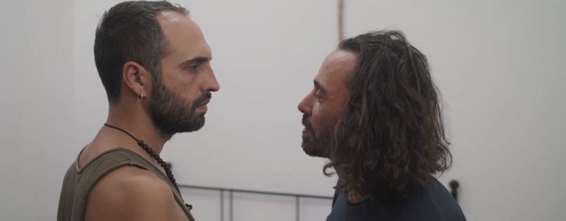 Ph Frame 2 Cani Randagi