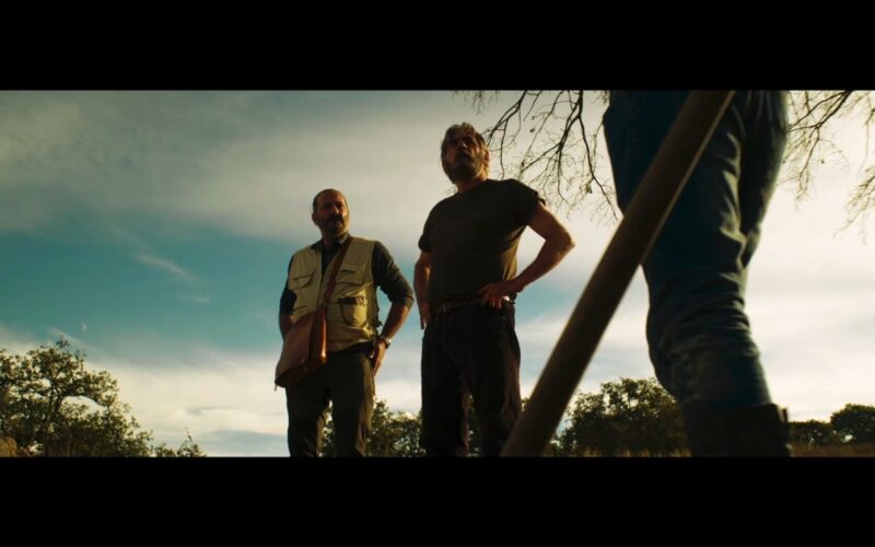 Seppellimento Con Veterinario Prospettiva Interessante 