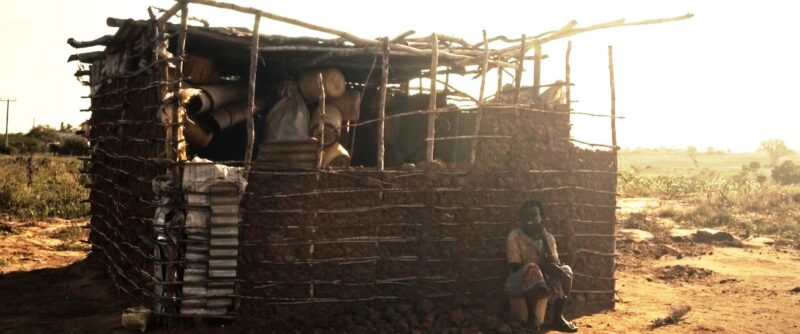 Still18 HD L'ULIVO E IL BAOBAB