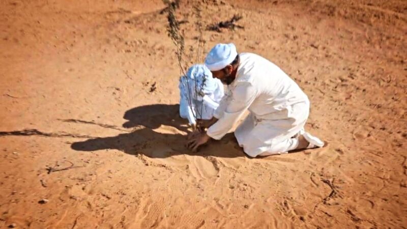 02 GREEN DESERT Andrea Gioia Lomoro