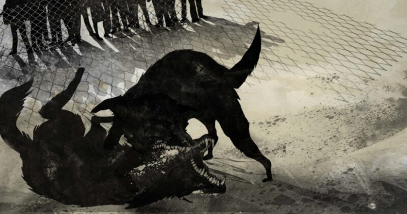 Ph PREMISE Garlaschelli Grasso 02 1030x543 1 00